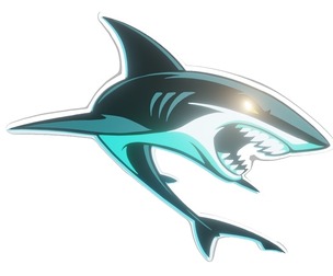 Sharks - San Jose w/white border