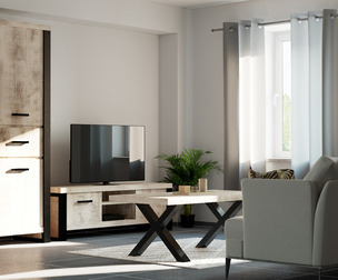 LIVING ROOM C4D CORONA RENDER