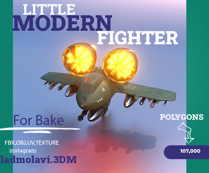 Modern fighter