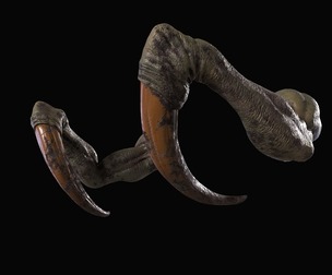 Horned Monster Arms