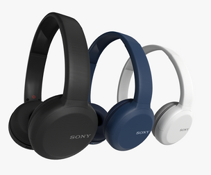 SONY Headphones