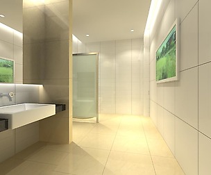 Public Toilet 009