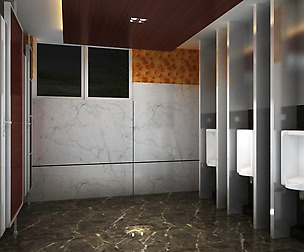 Public Toilet 010