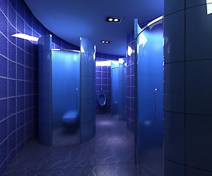 Public Toilet 011