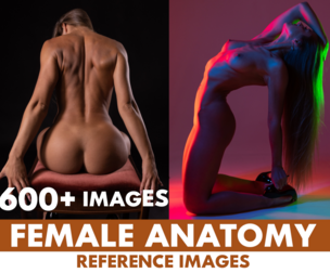 600+ Female Anatomy Reference Images