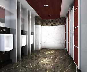 Public Toilet 013