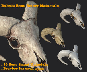 10 Bone Smart Materials