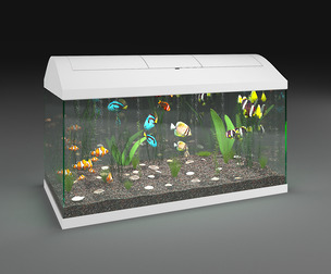 Aquarium LEDDY SET PLUS D&N 60