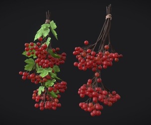 Guelder rose, red berries
