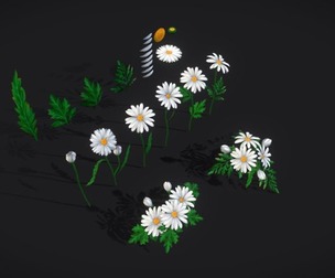Handpainted Daisies