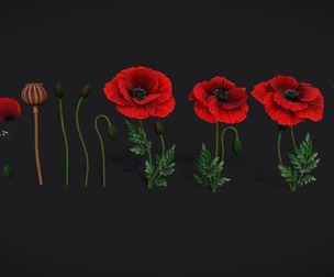 Stylized handpainted Poppy
