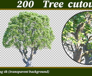 Tree cutout png 4k & psd vol03
