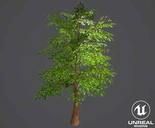 Stylized Tree