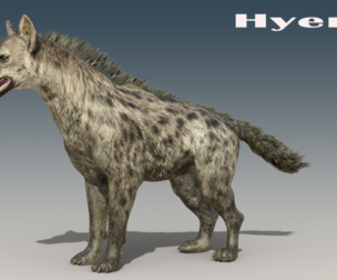 Hyena Rigged Low-poly 3D model