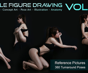 Female Figure Drawing - Vol 08