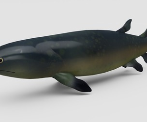 Eusthenopteron Fish