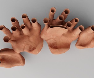 Endoplasmic Reticulum
