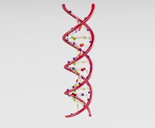 3D DNA