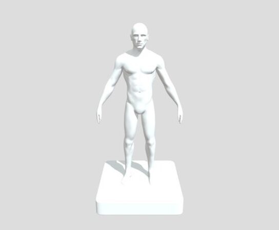 Collection