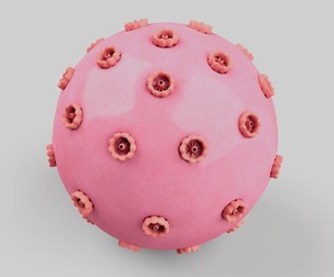 Nucleus