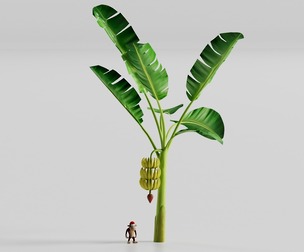 Banana Tree