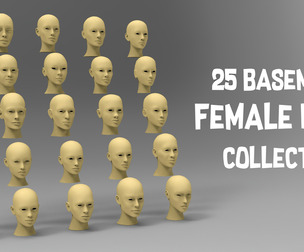 25 Basemesh female head collection