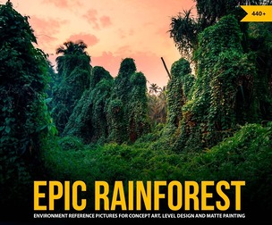440+ Epic Rainforest Reference Pictures