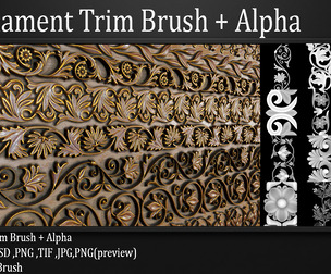 50 Ornament Trim Brush + Alpha VOL 01
