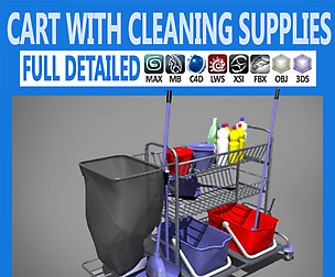 Cart with Cleaning Supplies