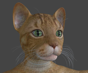 PUSS-001 Rigged Cat