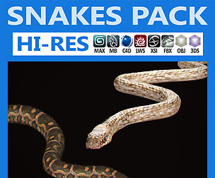 Pack - Snakes
