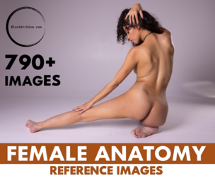 790+ Female Anatomy Reference Images