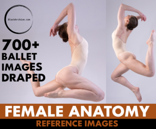 1010+ Female Ballet Reference Images - Draped