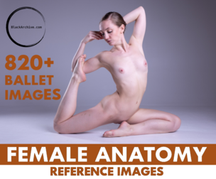820+ Female Ballet Reference Images - Nude