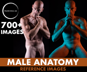 700+ Male Nude Reference Image