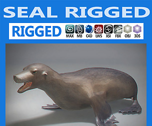 Rigged Seal