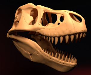 T-REX SKULL