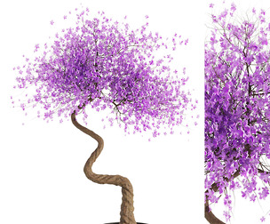 Bonsai purple flowe