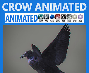 Animated Crow