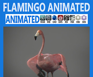Animated Flamingo