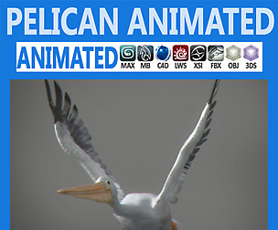 Animated Pelican