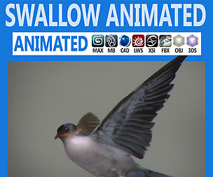 Animated Swallow