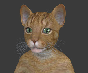 PUSS-002 Walking Animation