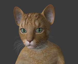 PUSS-003 Running Animation