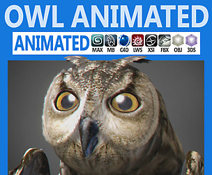 Animated Owl