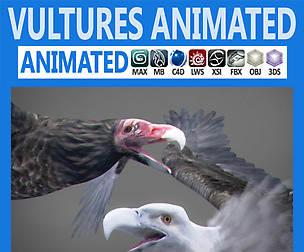 Animated Vultures