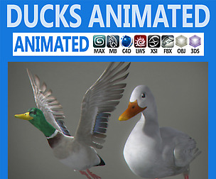 Animated Ducks