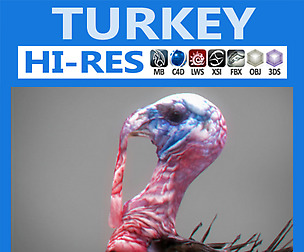 Turkey