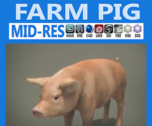 Pig