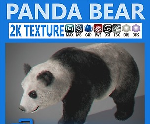 Panda Bear